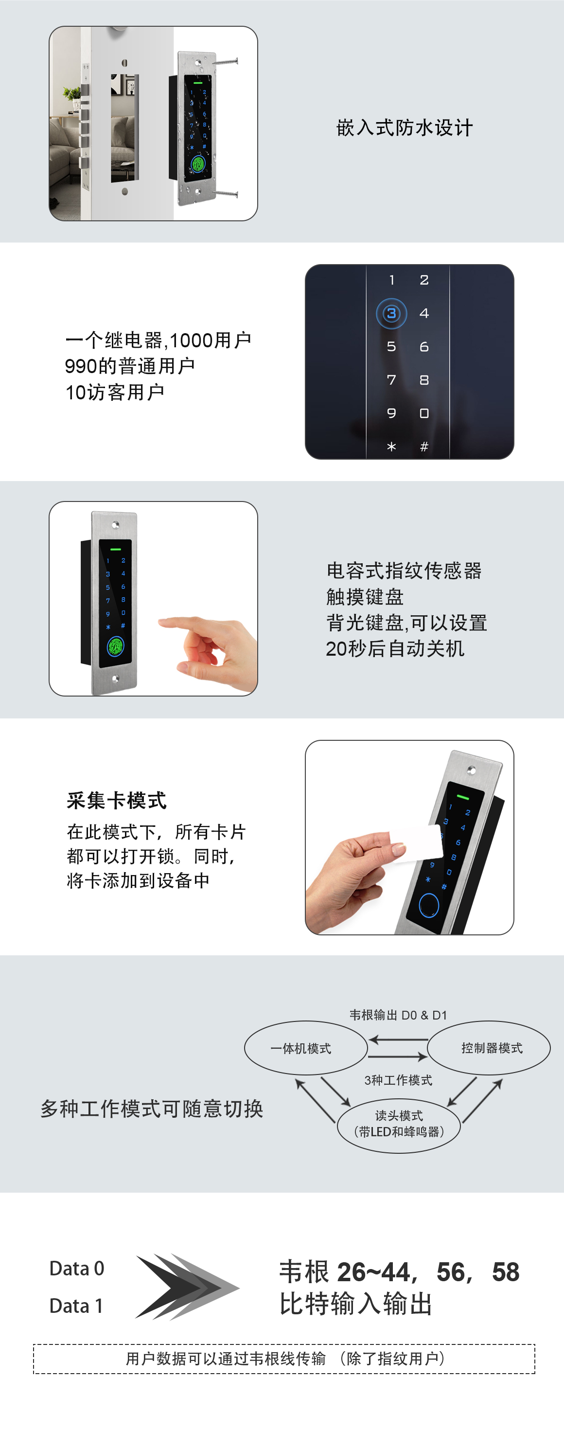 中文网站.jpg