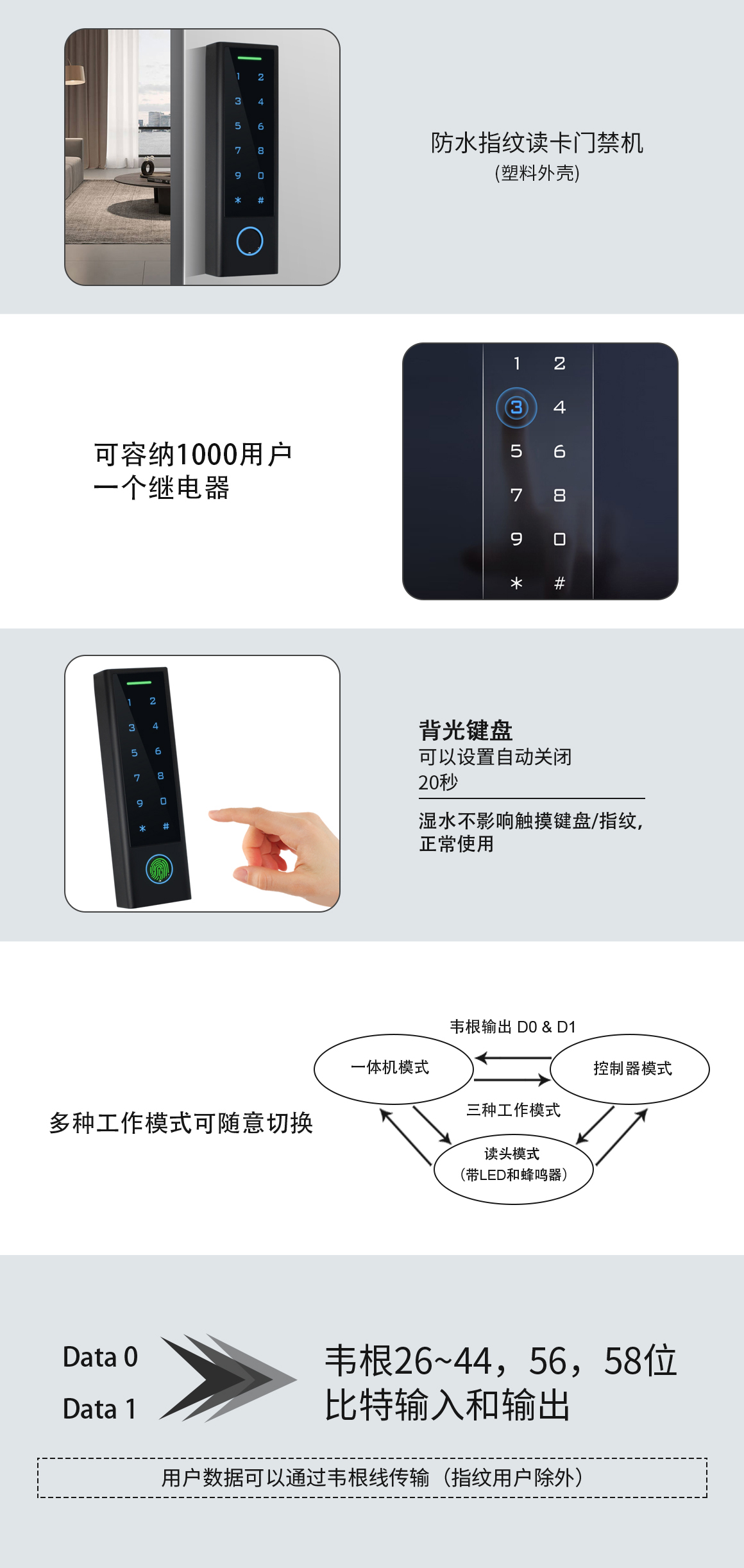未标题-7.jpg