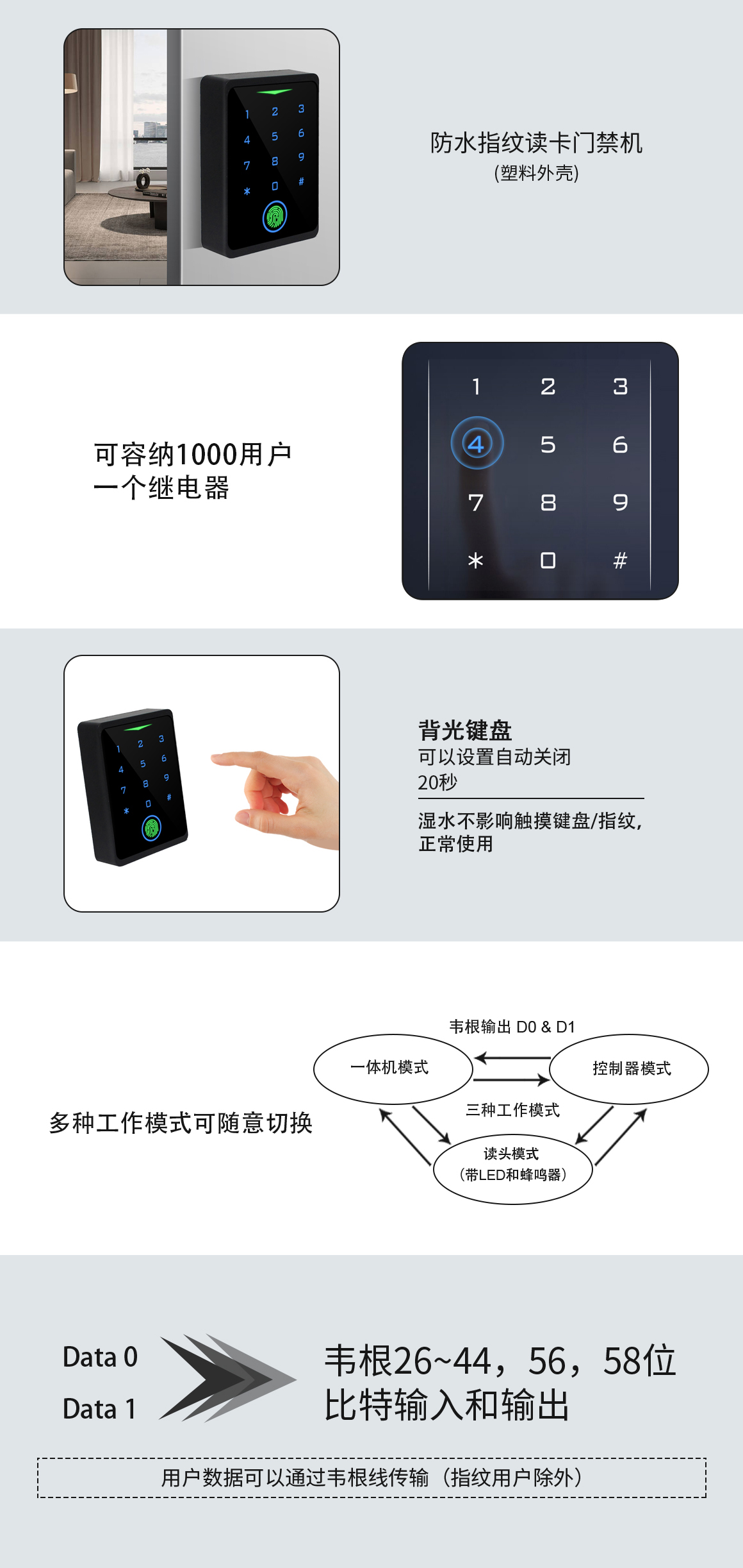 网站.jpg